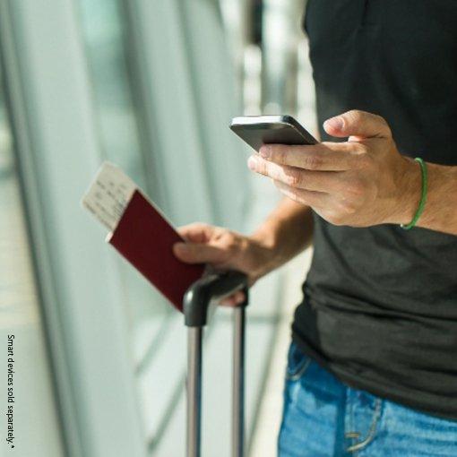 A person holding a passport
