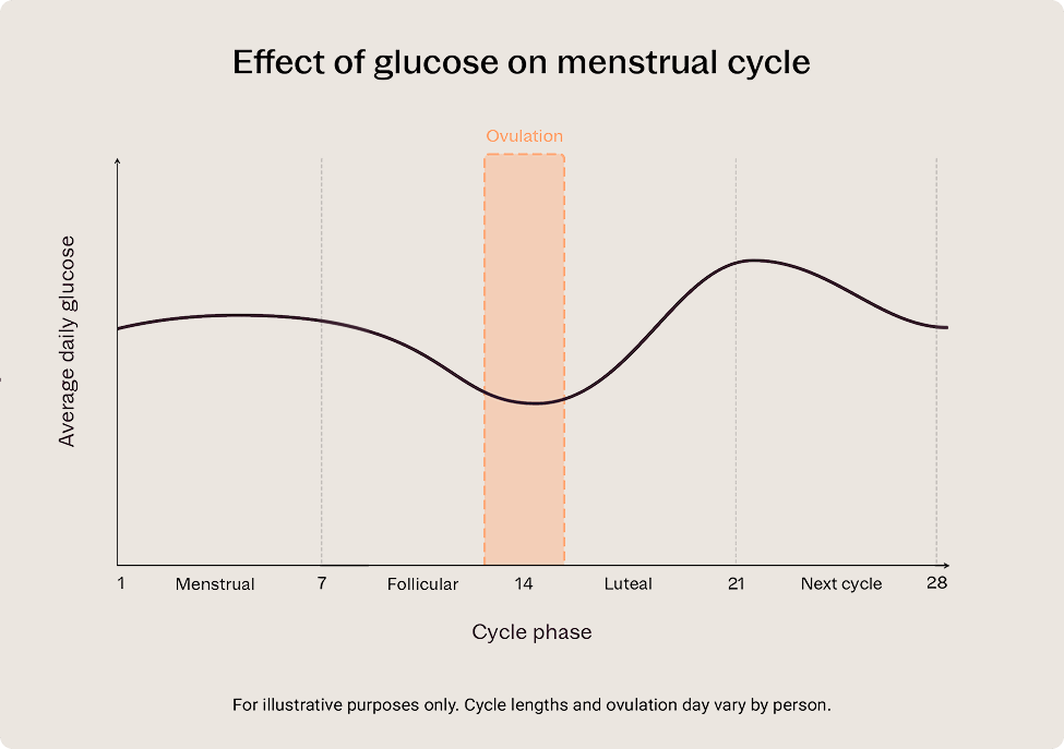 How fasting can impact menstrual cycle, periods, and glucose | Stelo by ...