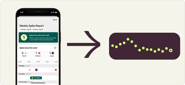 Stelo app spike illustration