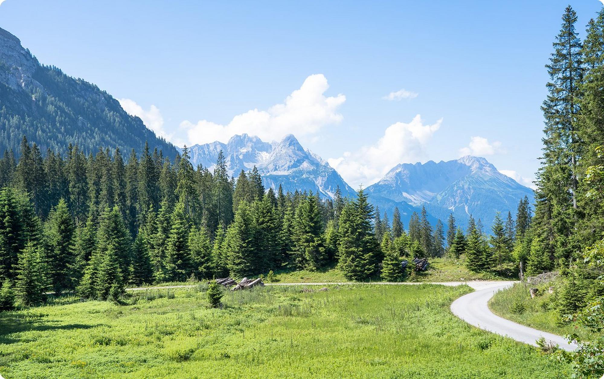 scenic view of grassy landscape with trees and mountains in the background
