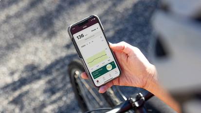 stelo app shopping glucose levels