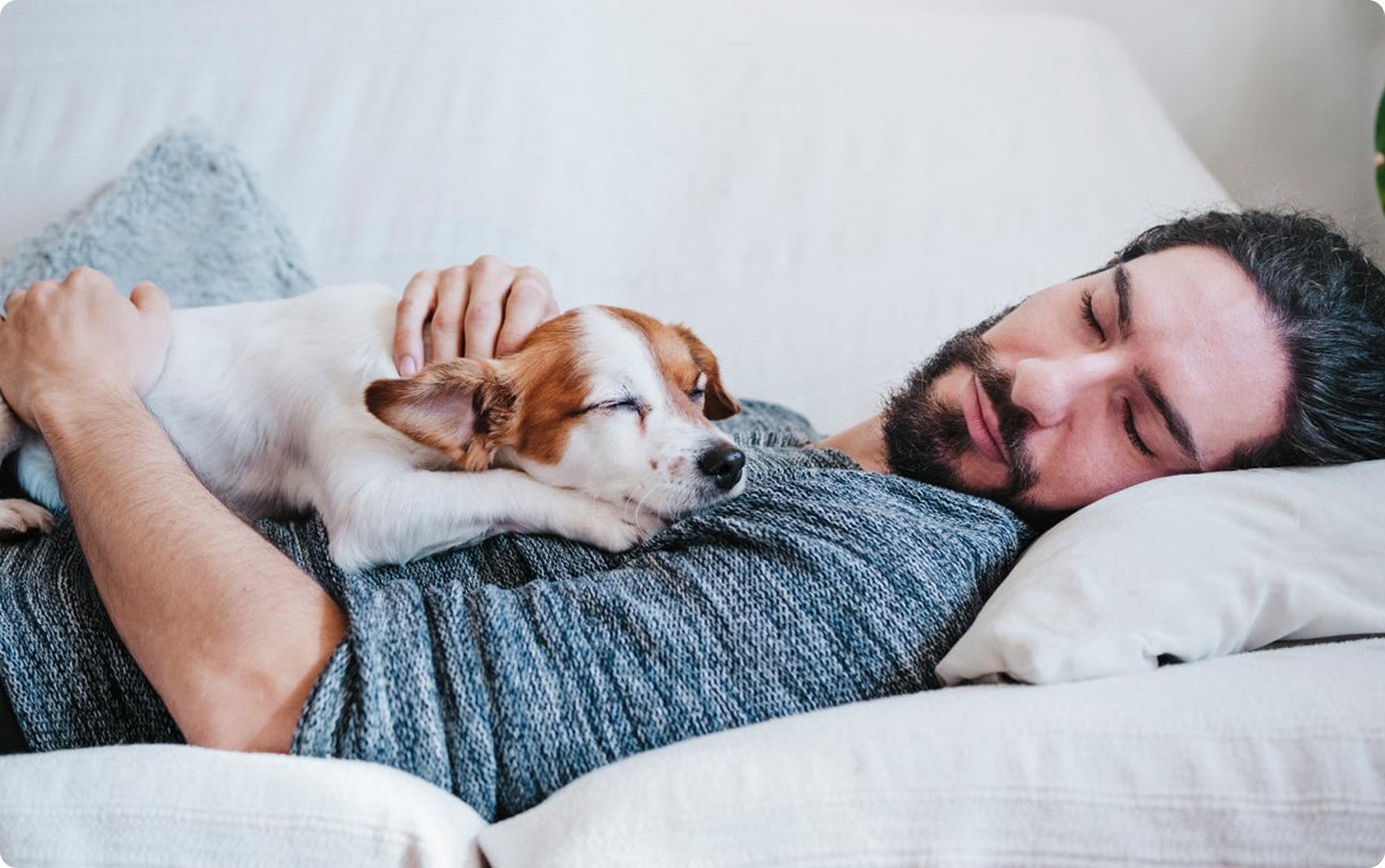 man sleeping on couch with dog