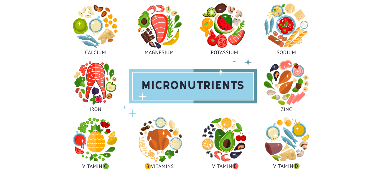 Illustration of micronutrients