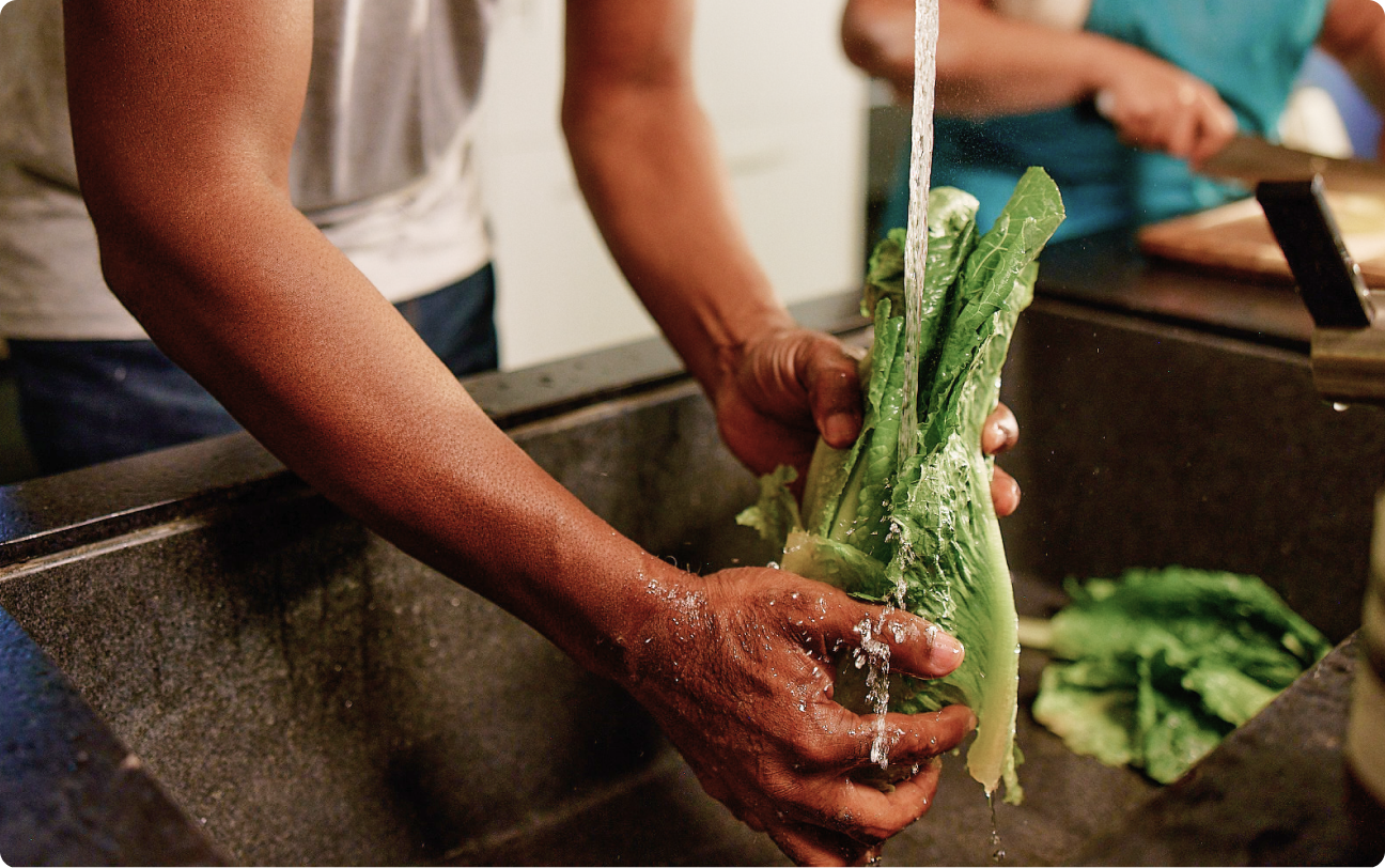 Man washing lettuce at kitchen sink