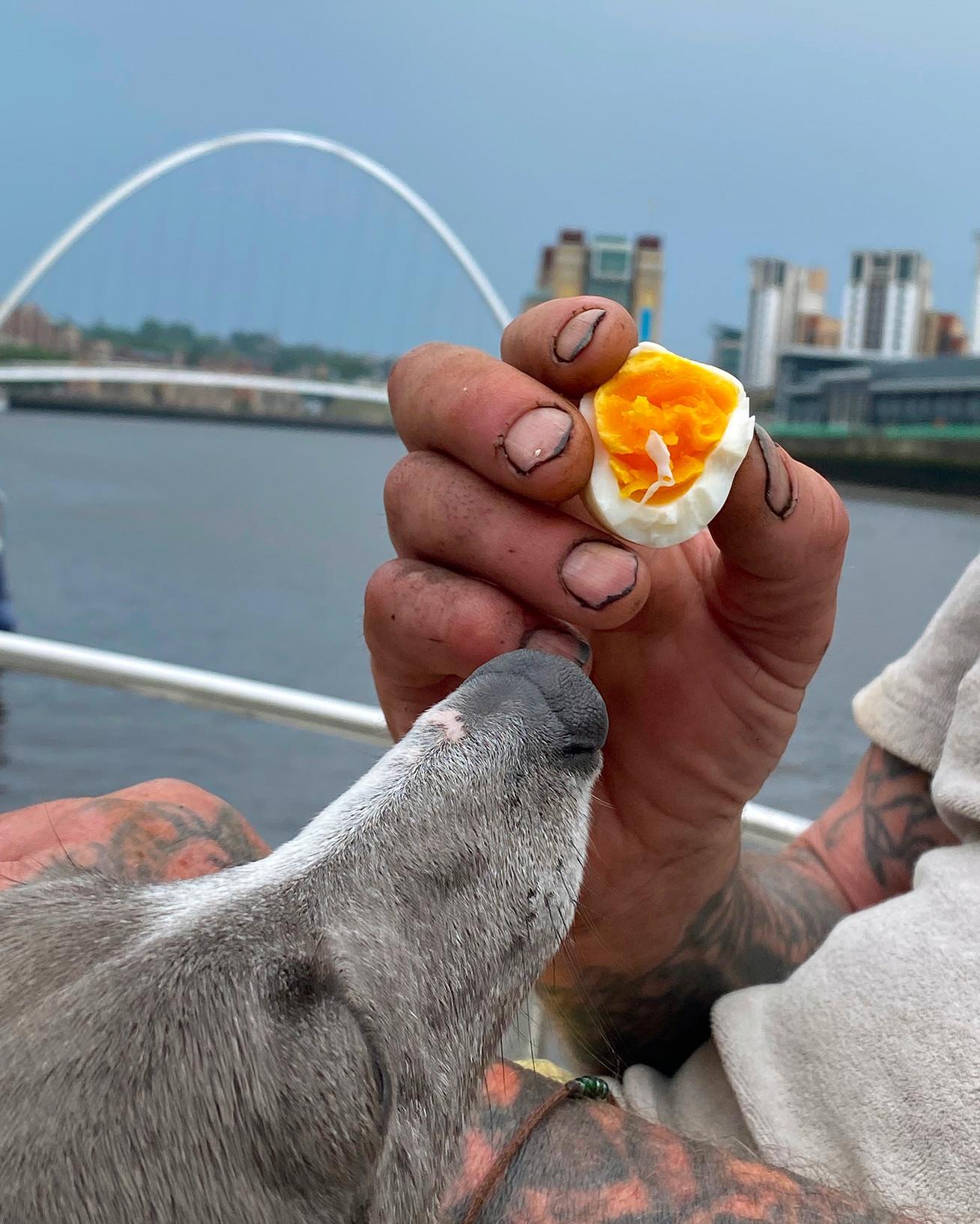 Hond snuffelt aan een zachtgekookt ei dat wordt vastgehouden door een getatoeëerde hand op een boot bij de rivier