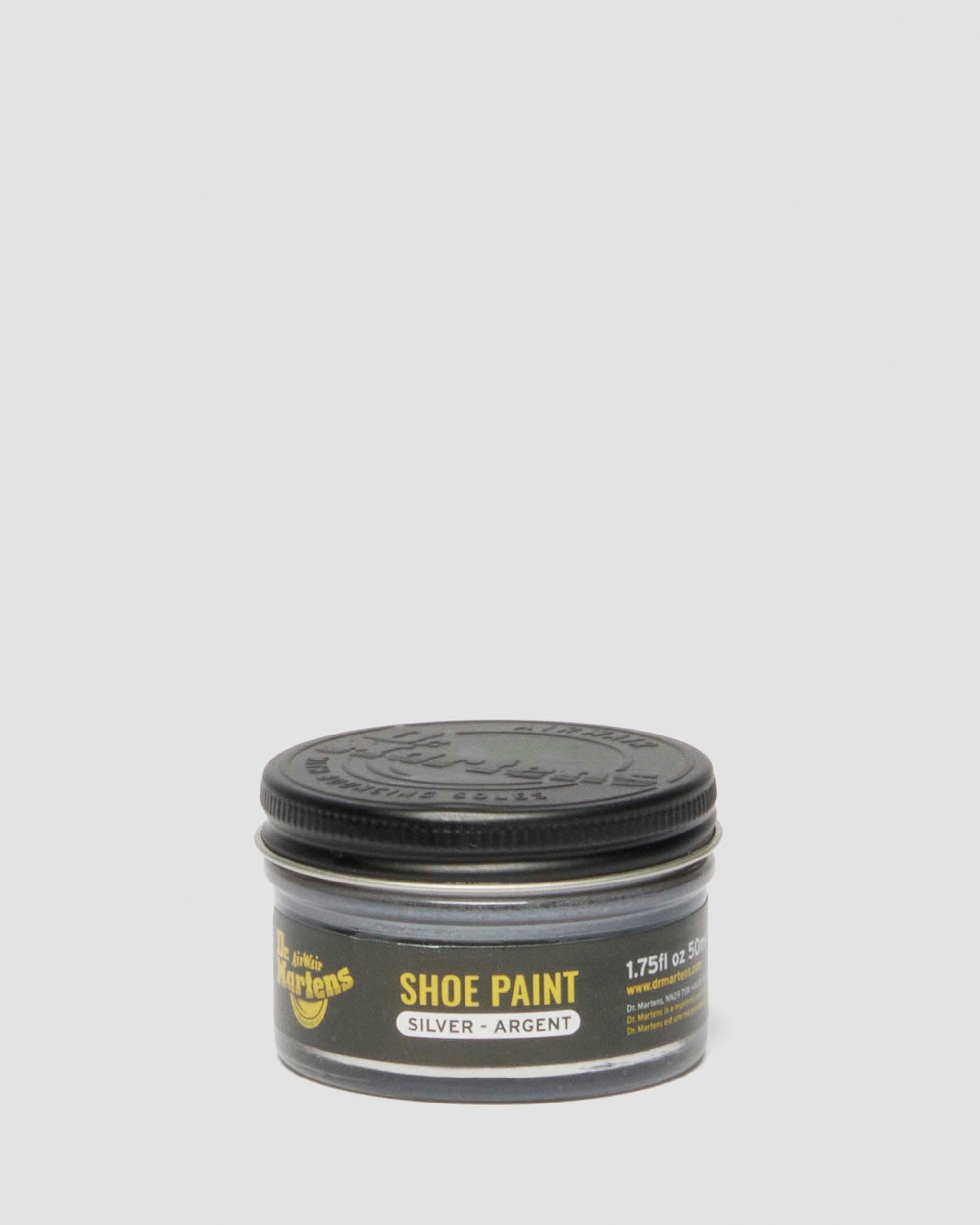 Silver Shoe Paint