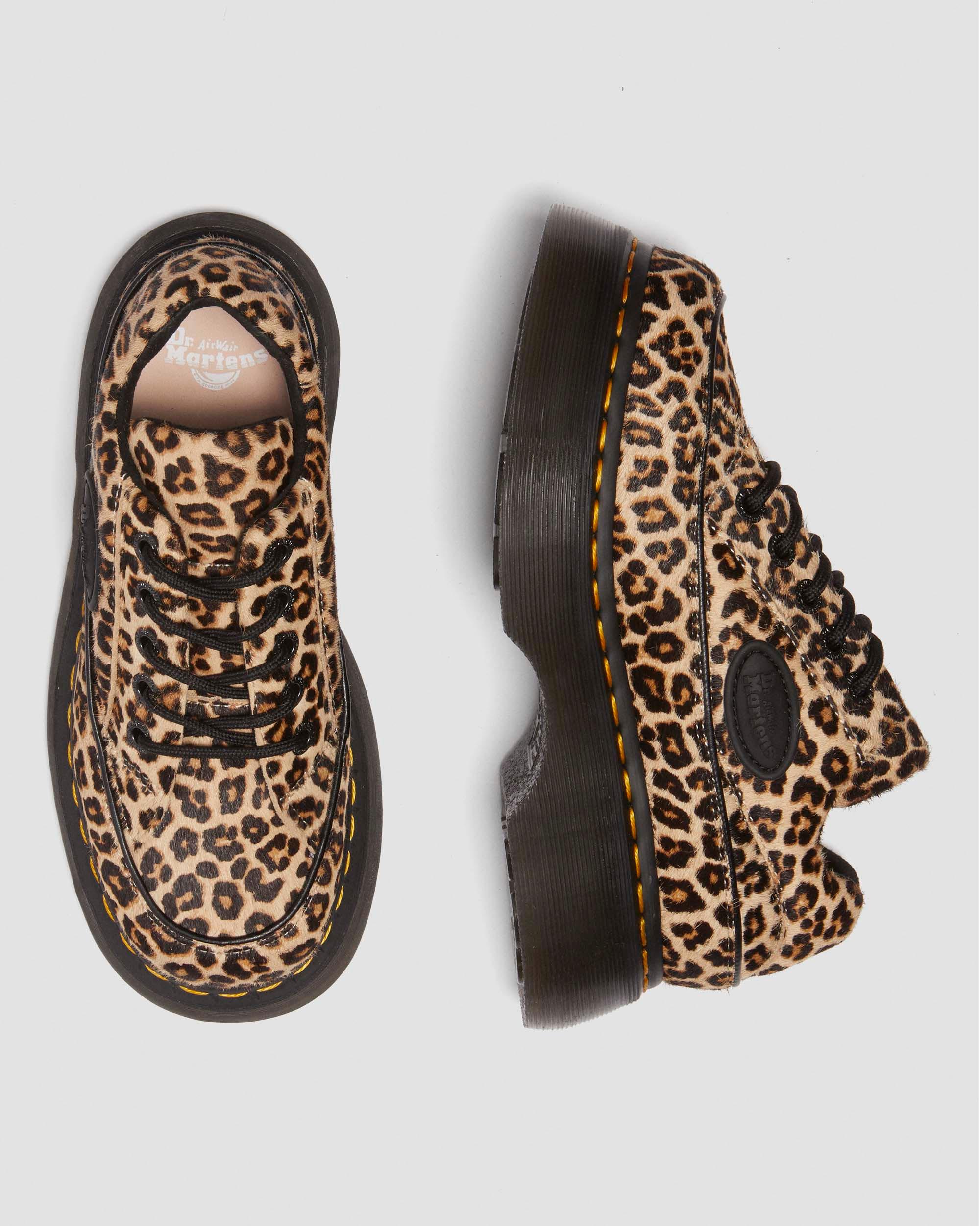 Buzz 5-eye leopard shoes in Light Tan