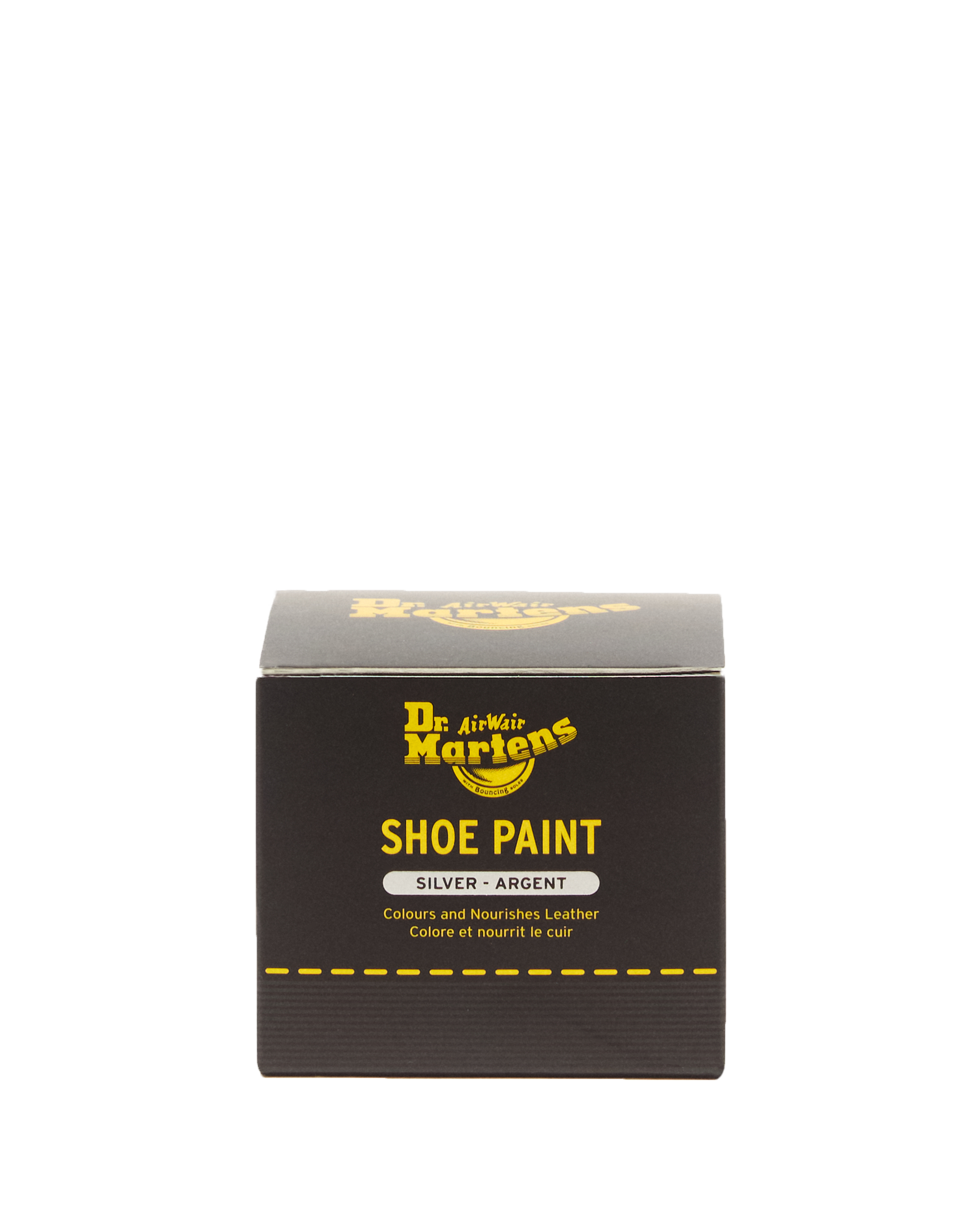 Silver Shoe Paint