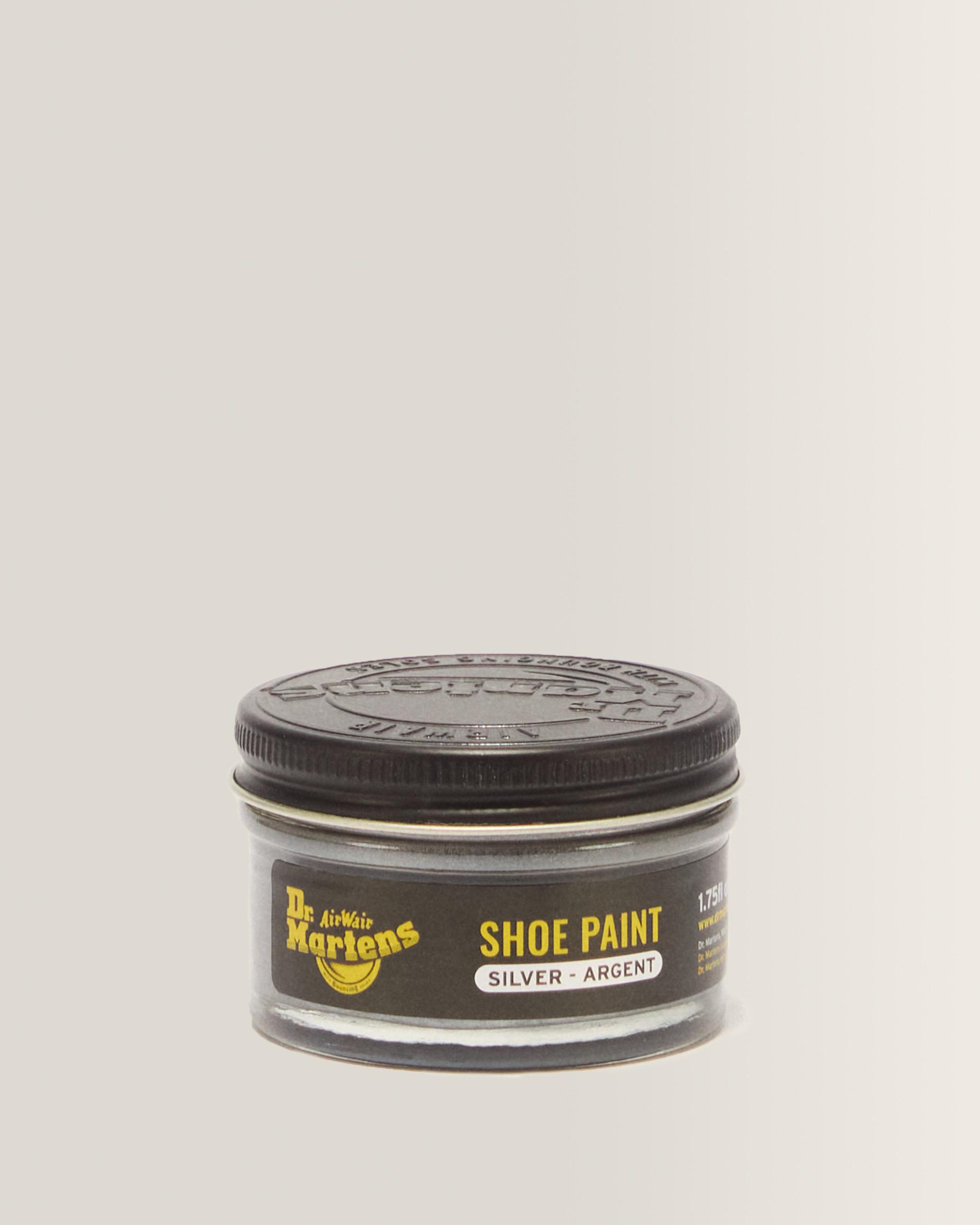 Silver Shoe Paint