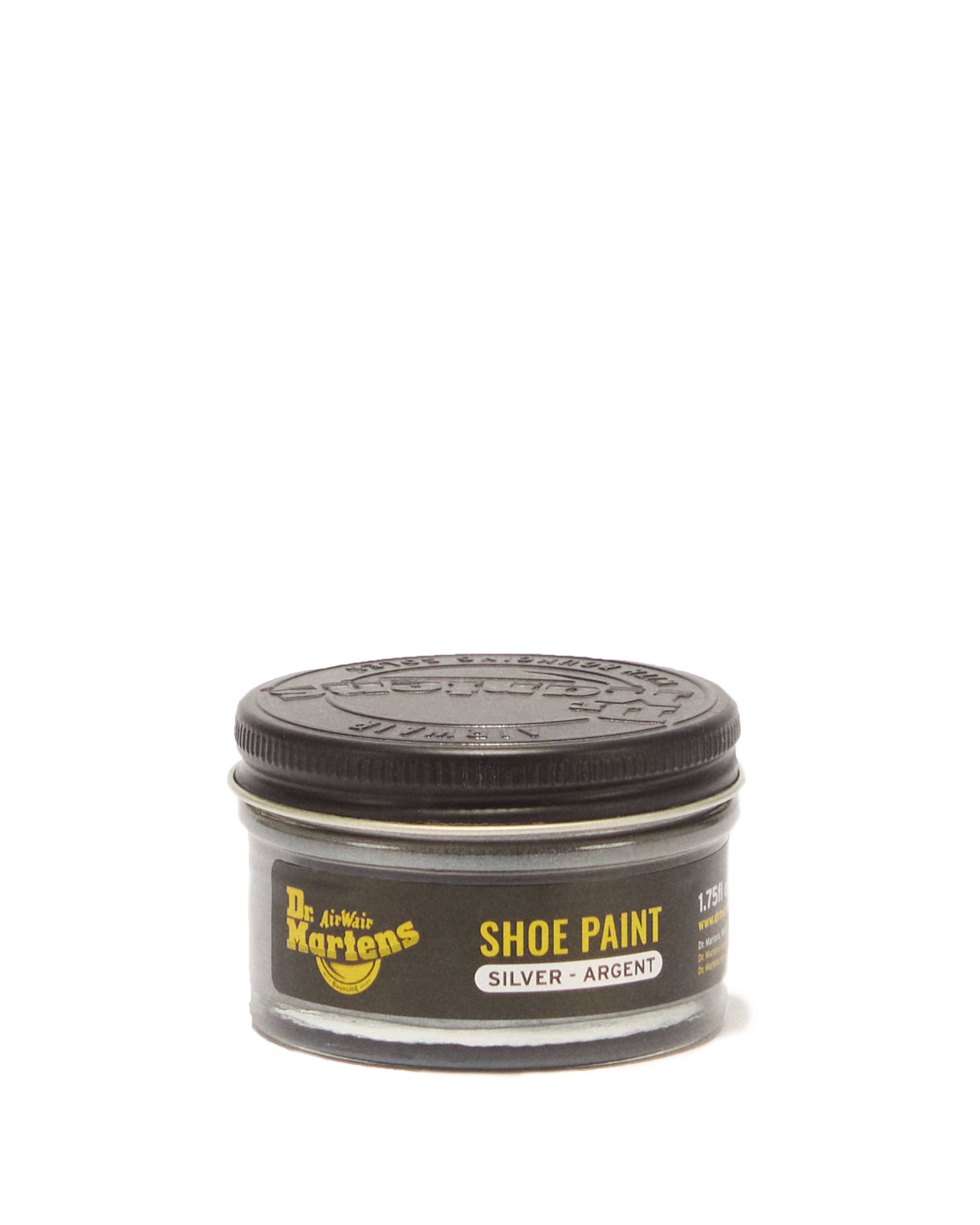 Silver Shoe Paint
