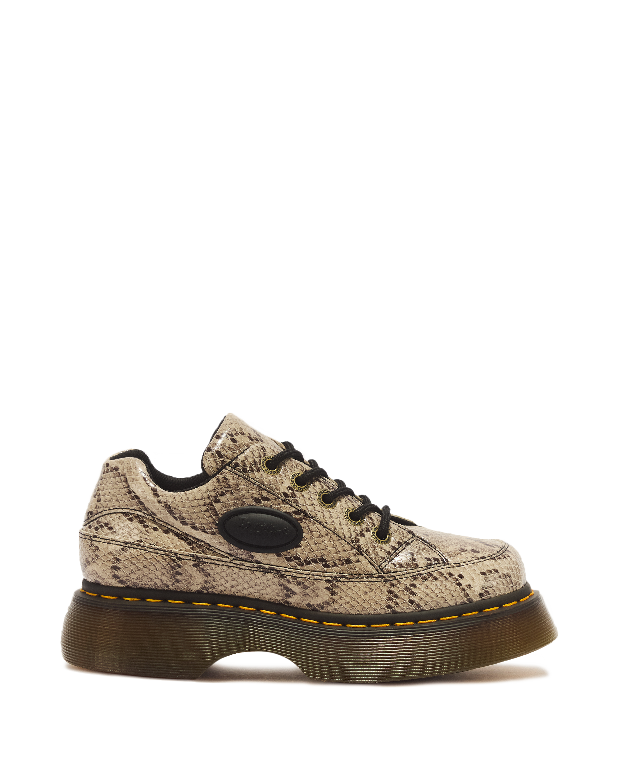 Buzz 5 Eye Snake Print Leather Shoes product image