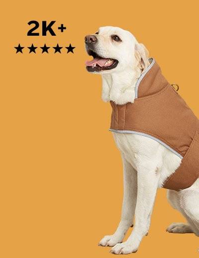 Dog gear, 2K+ 5-star reviews