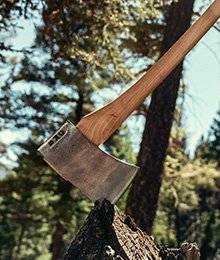 A Best Made axe sticking into a stump