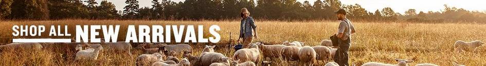 Shop all new arrivals. A man and a woman tend to their flock of sheep.