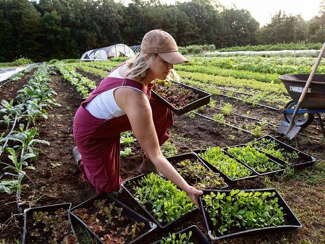 a woman wearing heirloom gardening overalls plants seedlings on a farm