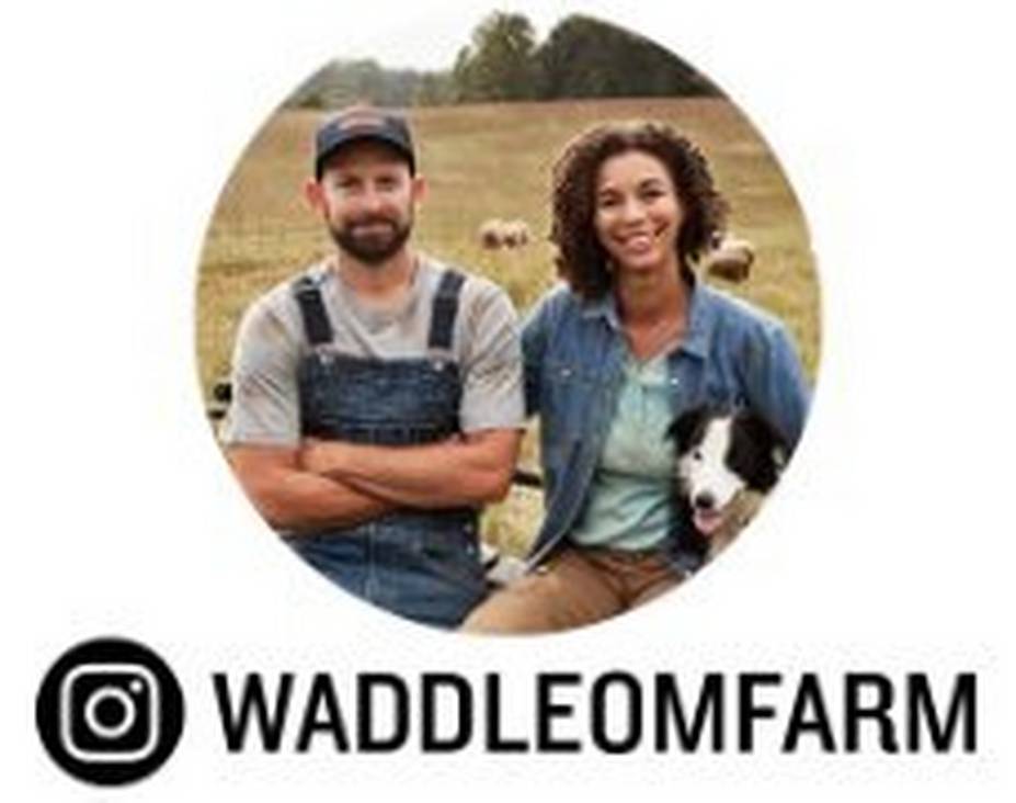 waddle om farm profile picture