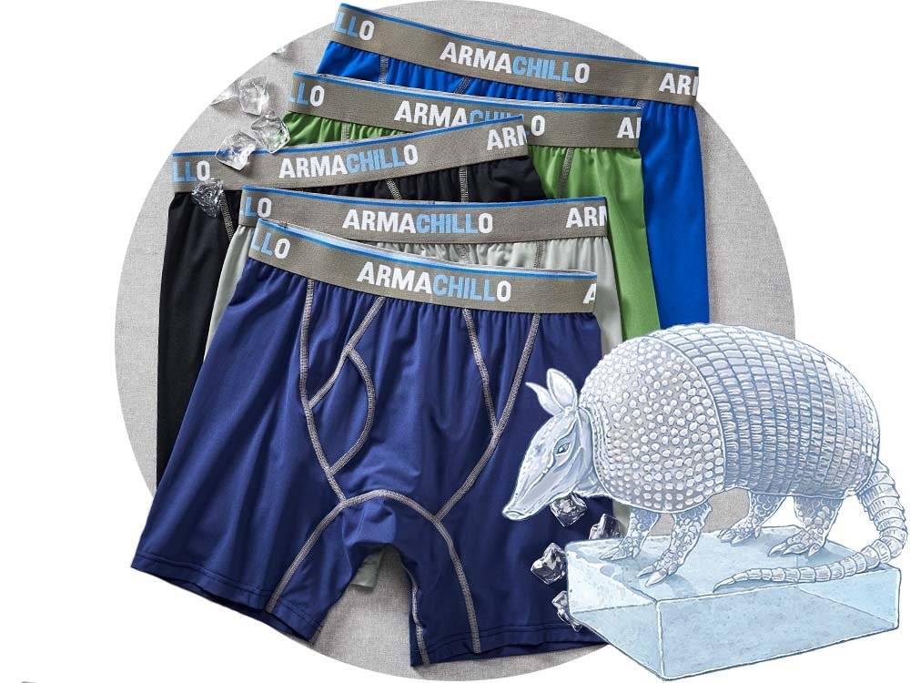 an array of armachillo boxer briefs in different colors, along with an illustration of an armadillo ice sculpture