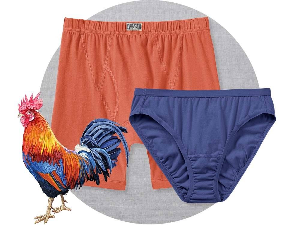 a pair of men's free range boxer briefs and women's briefs, along with an illustration of a rooster