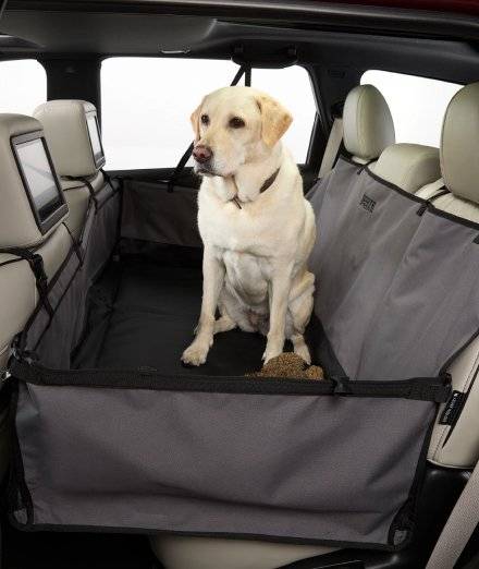 Dog sitting in car seat cover.