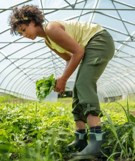 Woman wearing green roll-up pants, working in a greenhouse.