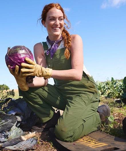 Woman wearing green overalls, picking cabbage.