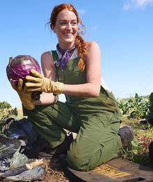 Woman wearing green overalls, picking cabbage.