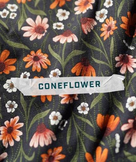 Coneflower pattern.