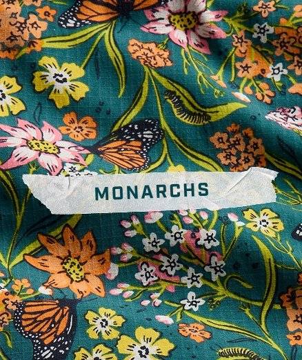 Monarchs pattern.