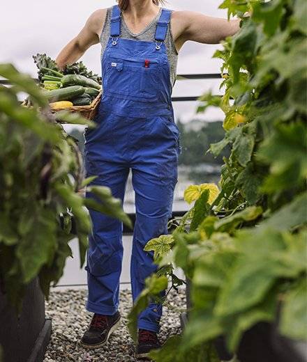 A woman in blue overalls in a garden