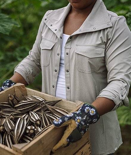 A woman in a tan garden shirt carries a crate of seed pods