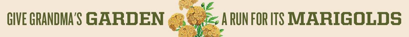 Give grandma's garden a run for its marigolds. An illustration of yellow marigolds made out of actual gold.