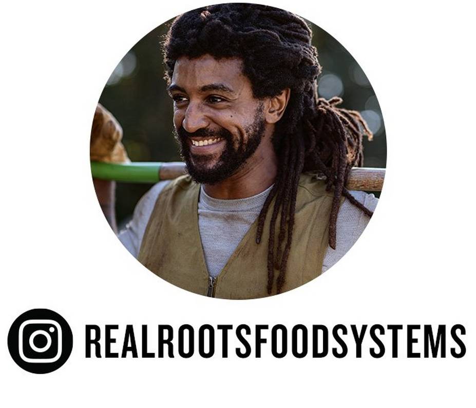 real roots food systems profile picture