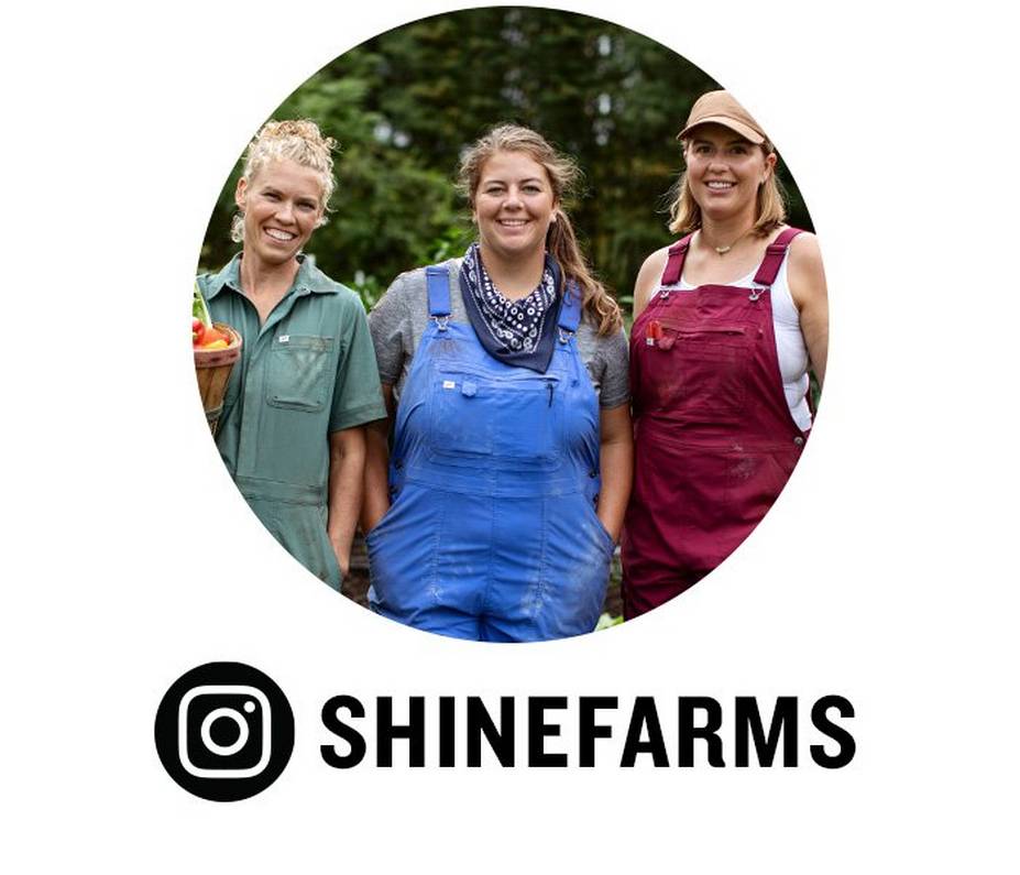 Duluth Shine Farms Duluth Trading Company