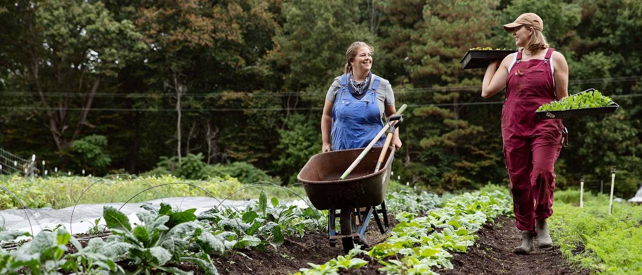 two women wearing heirloom garden overalls walking between rows of leafy greens