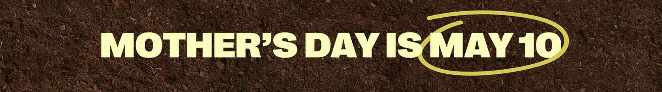 Headline: Mother's Day is May 10