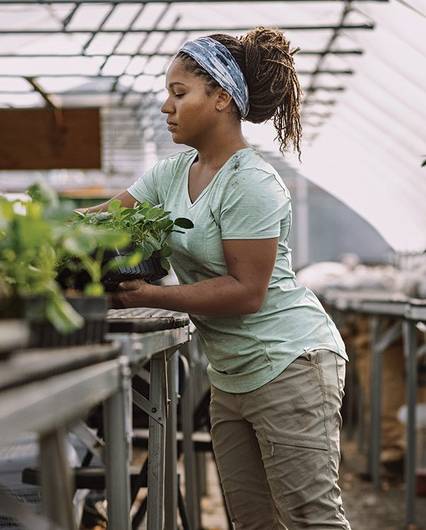 woman wearing an armachillo tshirt, gardening in a greenhouse