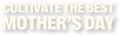 Headline: Cultivate the Best Mother's Day