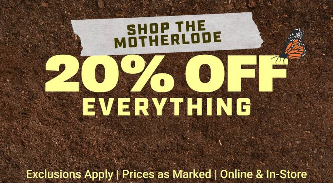 20% OFF Everything. Exclusions Apply. Prices as Marked. Online & In-Store.