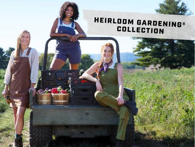 Three women near bed of truck filled with vegetables.