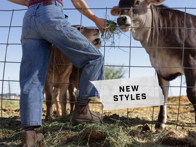 Woman wearing barrel jeans, feeding cows