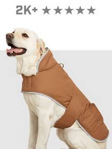 fire hose dog jacket