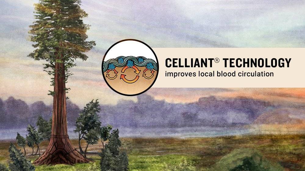 icon of celliant technology improves local blood circulation