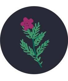 Green Botanical Print