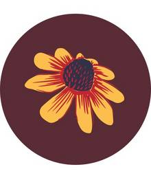 Coneflowers Print