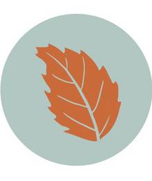 Leaves Print