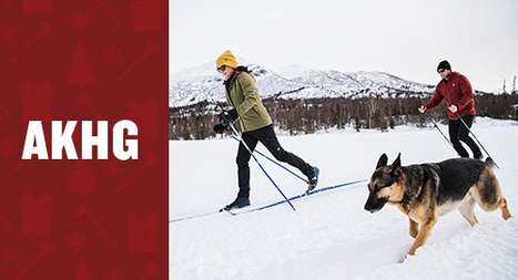 AKHG. Woman and man cross country skiing with a dog.
