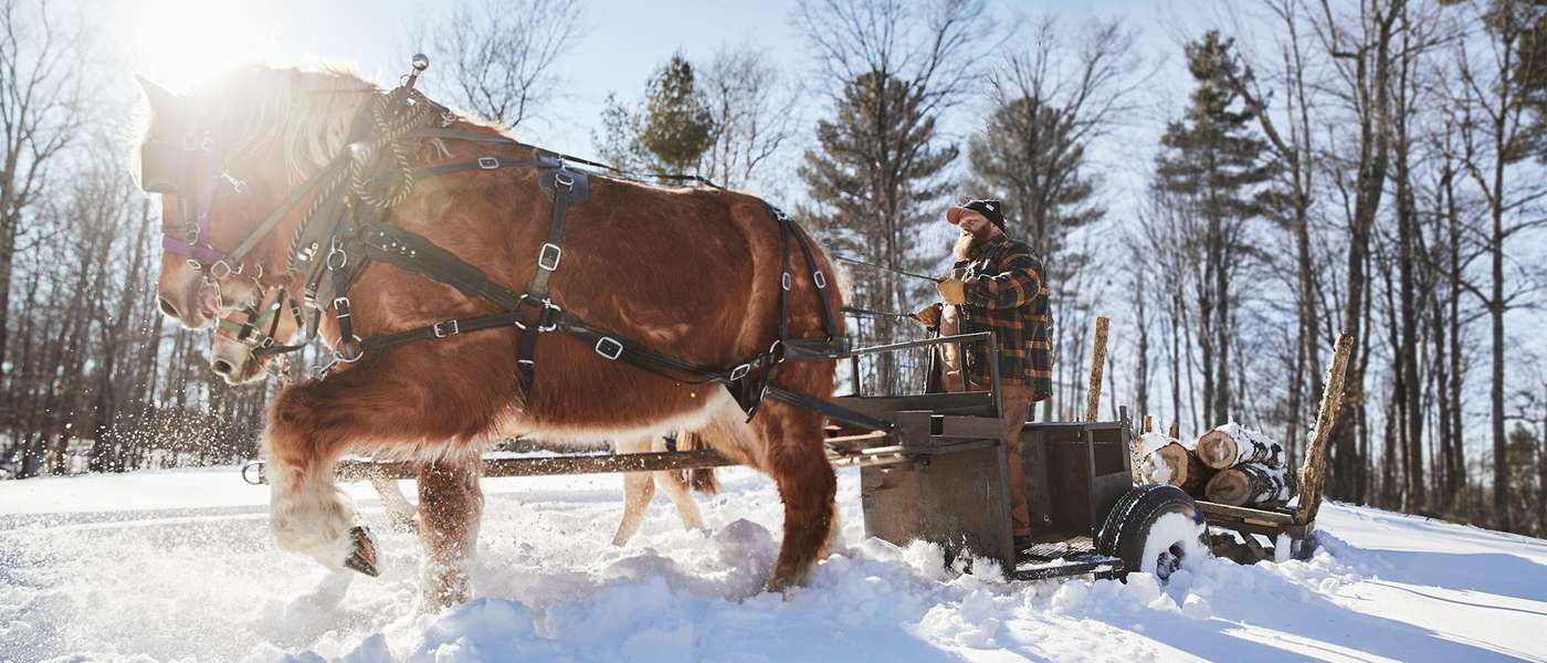 Taylor working with a team of horses to haul logs through a snow