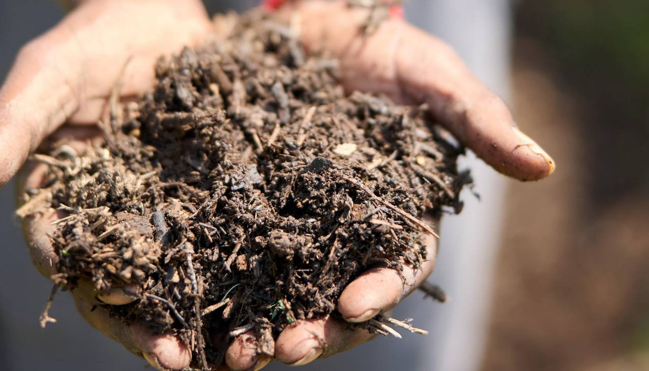 Hands holding soil