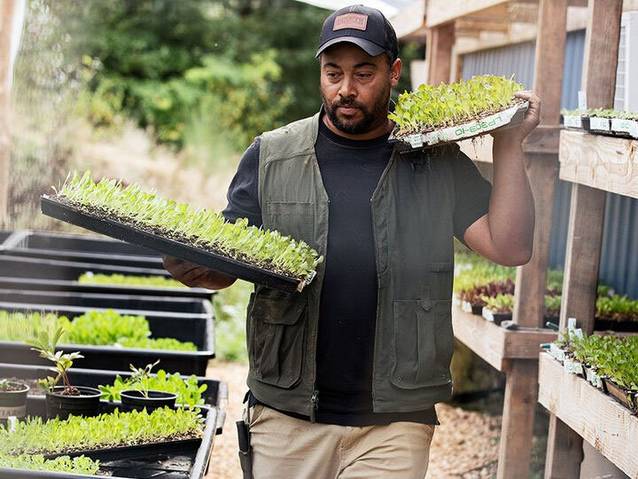 man carrying seedlings
