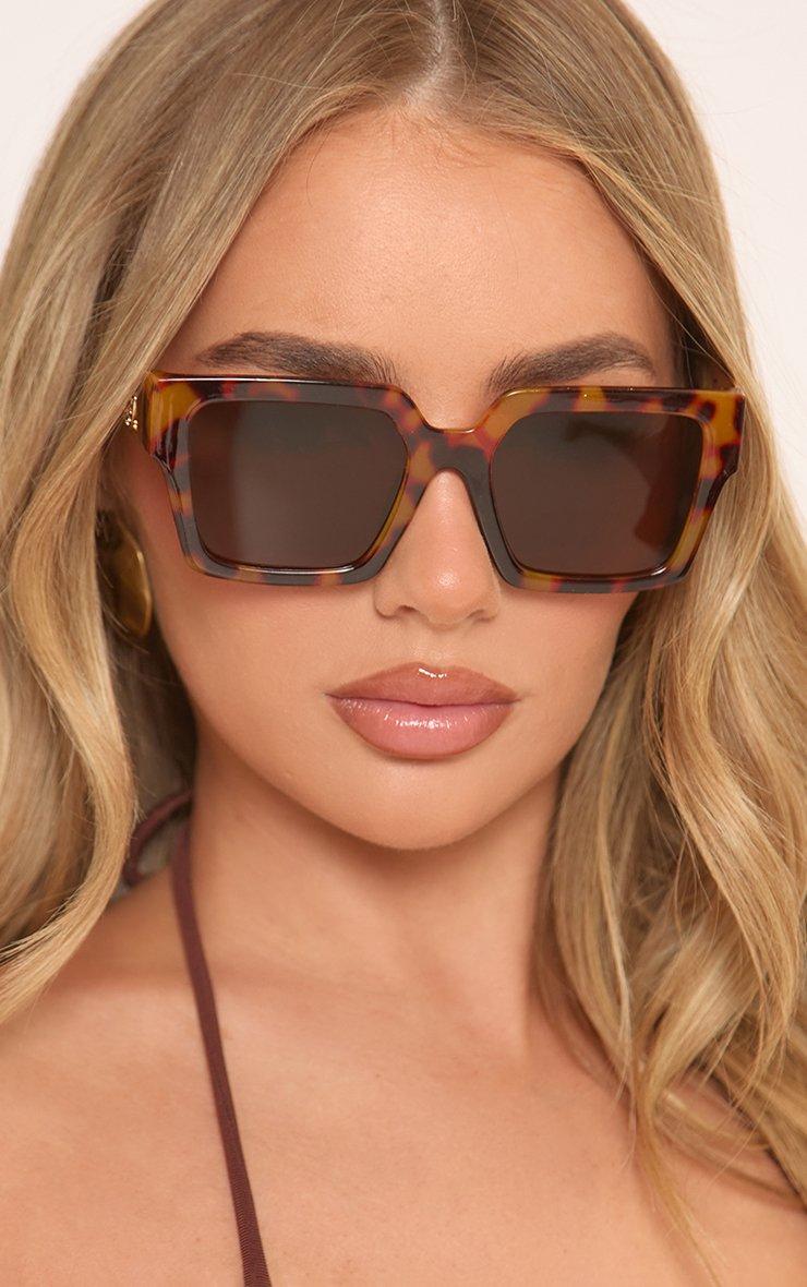 Square Shaped Oversized Fram Cut Out Side Detail Sunglasses In